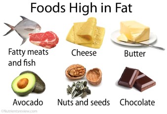 high-fat-foods
